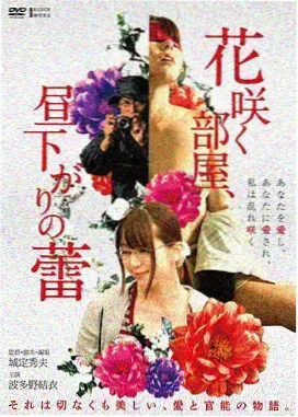 蜜桃TV在线观看电影长片的高清画面